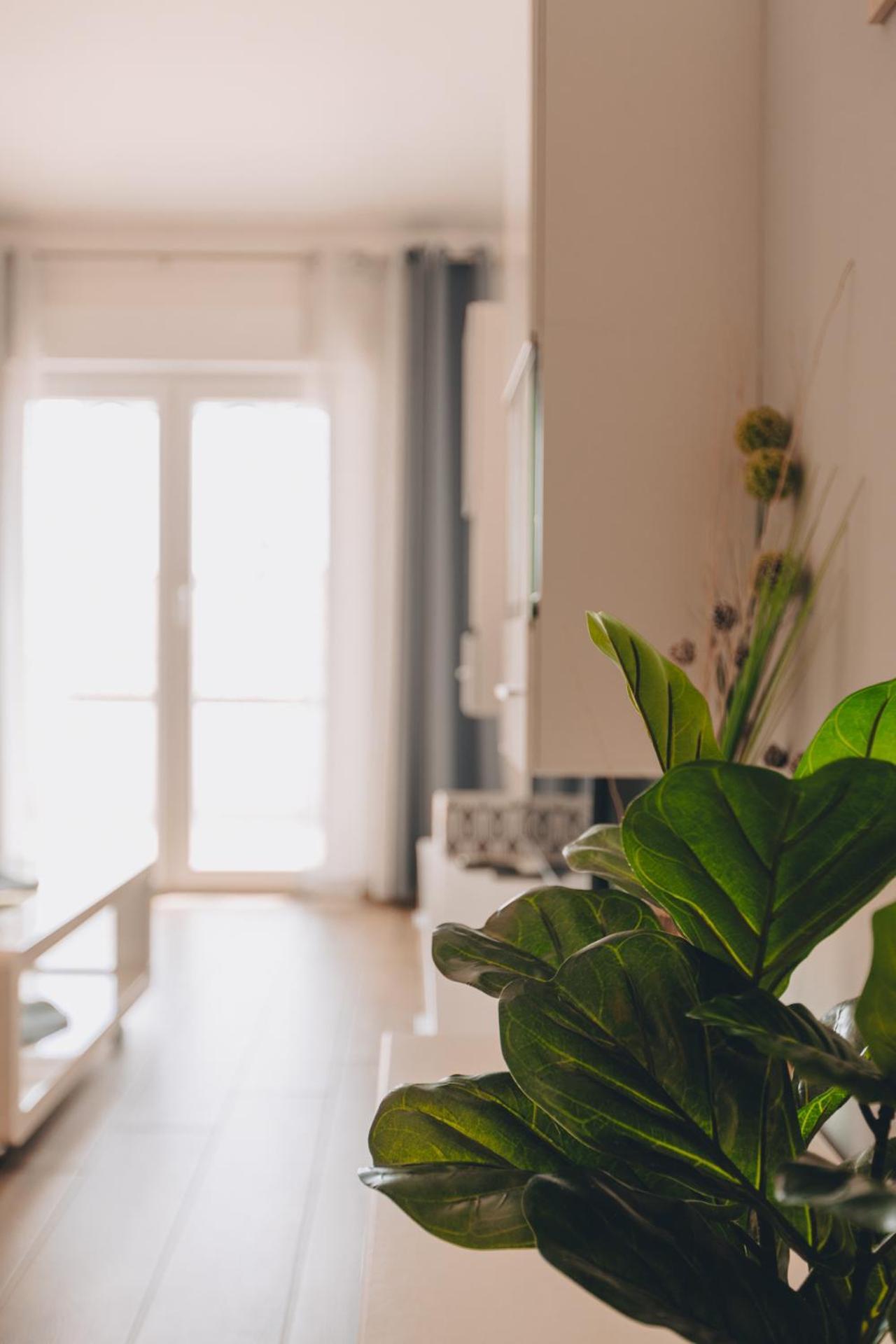 Apartment Neda Крк Экстерьер фото